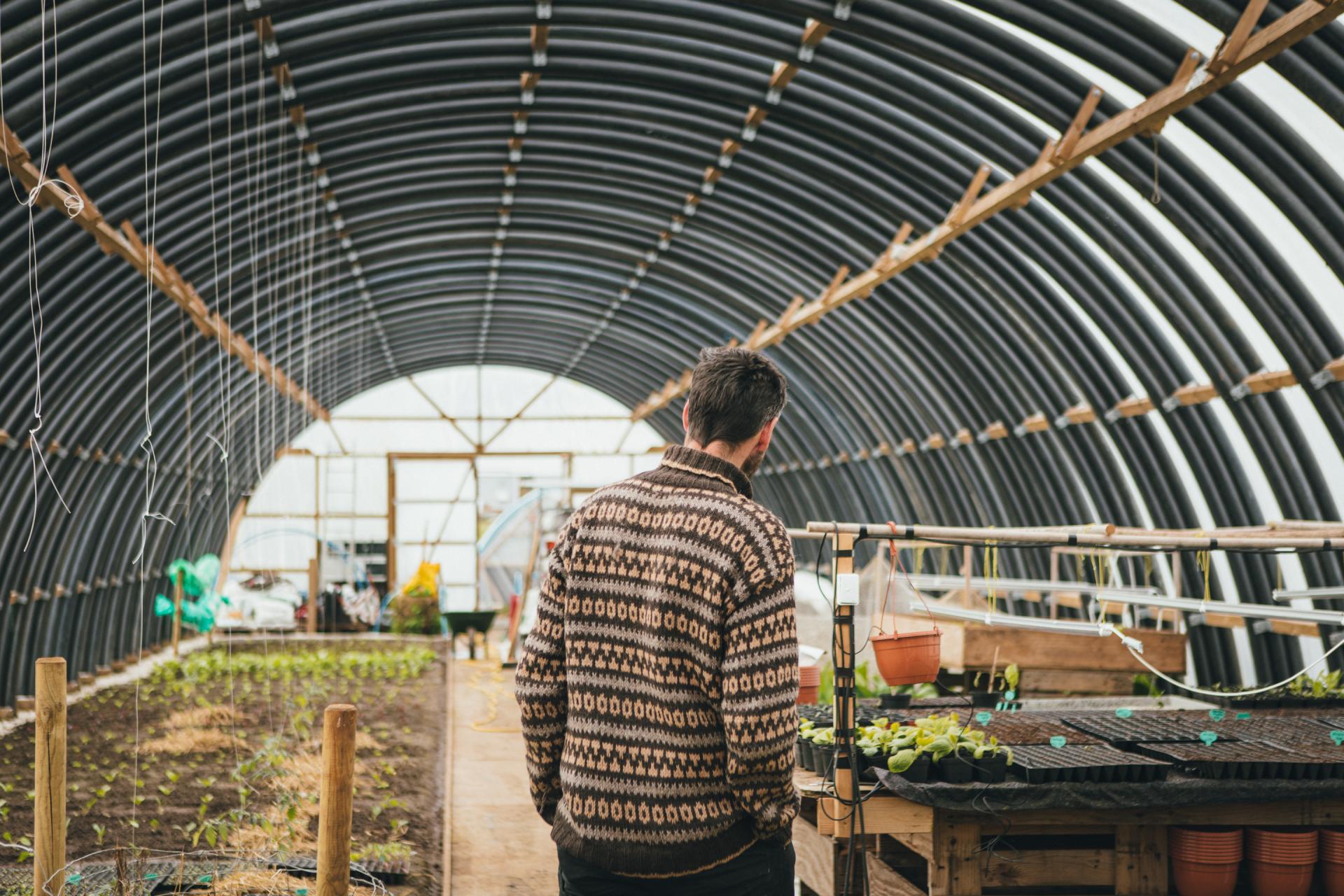 Veltan Greenhouse, Sandur, photo: Kirstin Vang